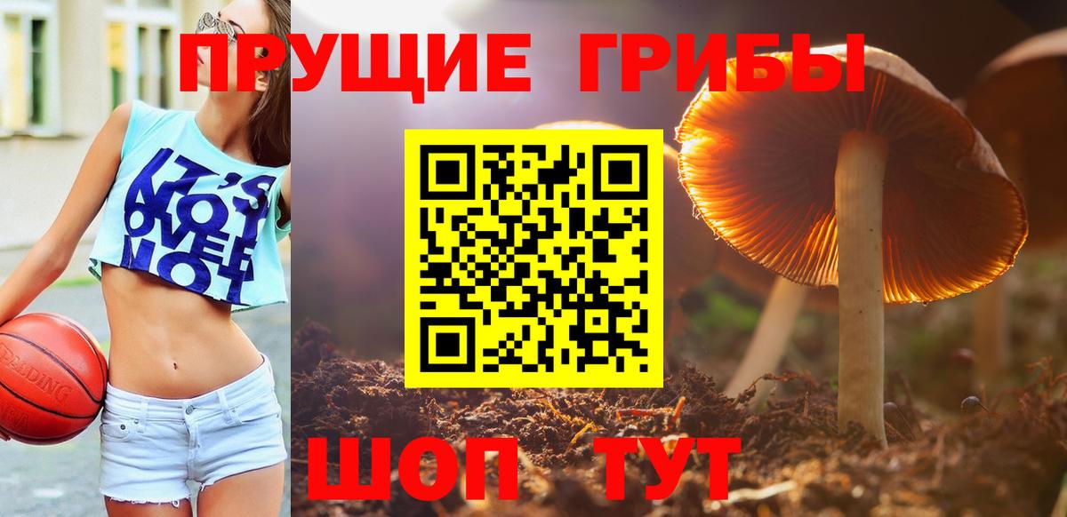 Псилоцибиновые грибы прущие грибы Малгобек