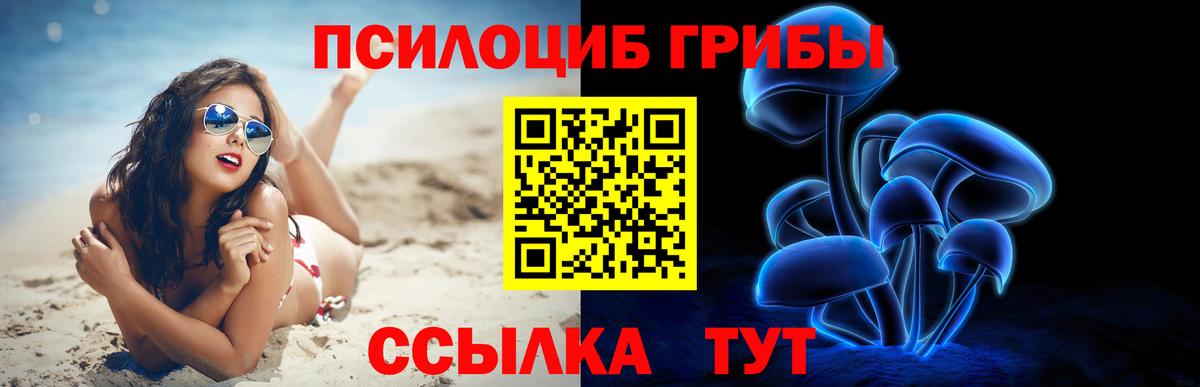 Малгобек  Псилоцибиновые грибы Psilocybine cubensis  где продают наркотики  Вход с VPN  Галлюциногенные грибы мухоморы 